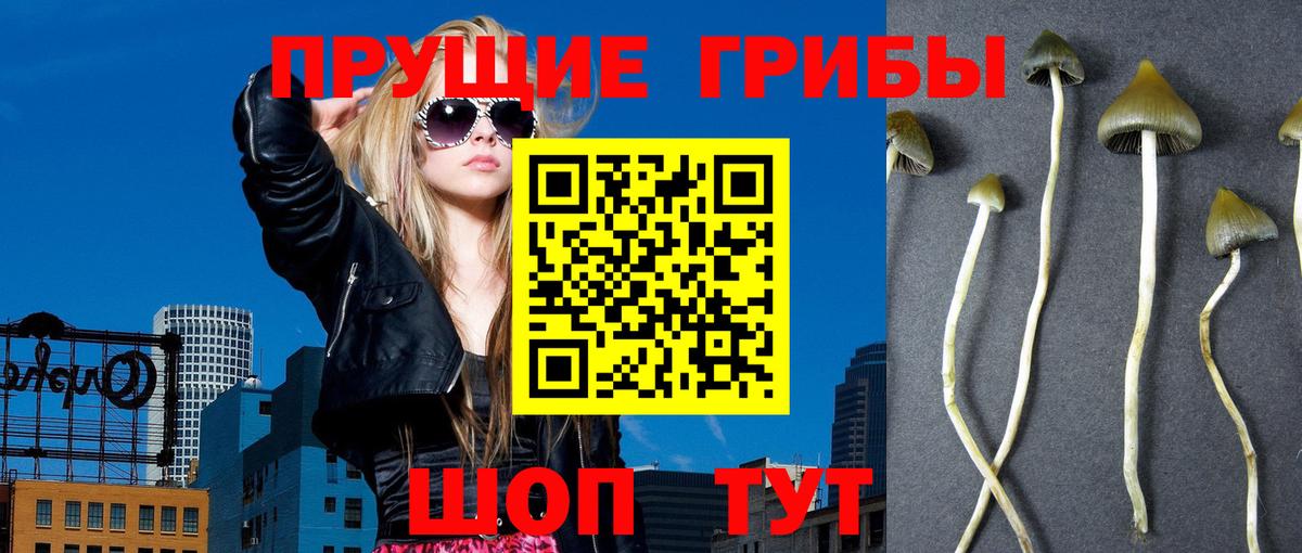 Галлюциногенные грибы ЛСД  Вход с VPN  Кохма 