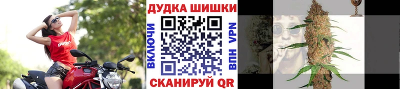 OMG зеркало  Кохма  Шишки марихуана гибрид 